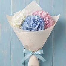 Букет цветов из:  Гортензия в Солдато-Александровском