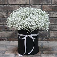 Цветочная композиция из Гипсофила в шляпной коробке в Солдато-Александровском